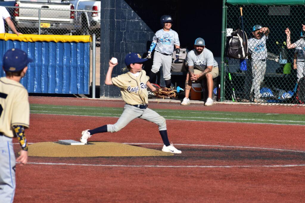 Colorado Springs Majestic Baseball